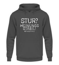 Lade das Bild in den Galerie-Viewer, Steel Grey (Solid)-1762