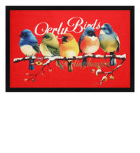 Lade das Bild in den Galerie-Viewer, Rubin Red-5761