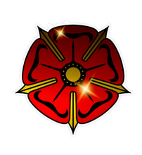 Lade das Bild in den Galerie-Viewer, White-3