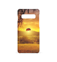 Lade das Bild in den Galerie-Viewer, Pacific Grey-1157