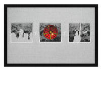 Lade das Bild in den Galerie-Viewer, Pacific Grey-1157