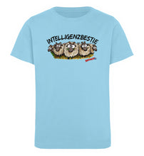 Lade das Bild in den Galerie-Viewer, Himmelblau-674