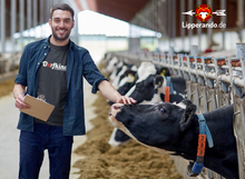 Lade das Bild in den Galerie-Viewer, LIPPEDesigns - DORFKIND - Herren Shirt