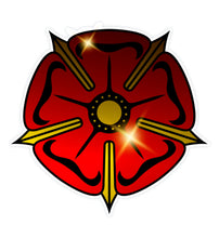 Lade das Bild in den Galerie-Viewer, White-3