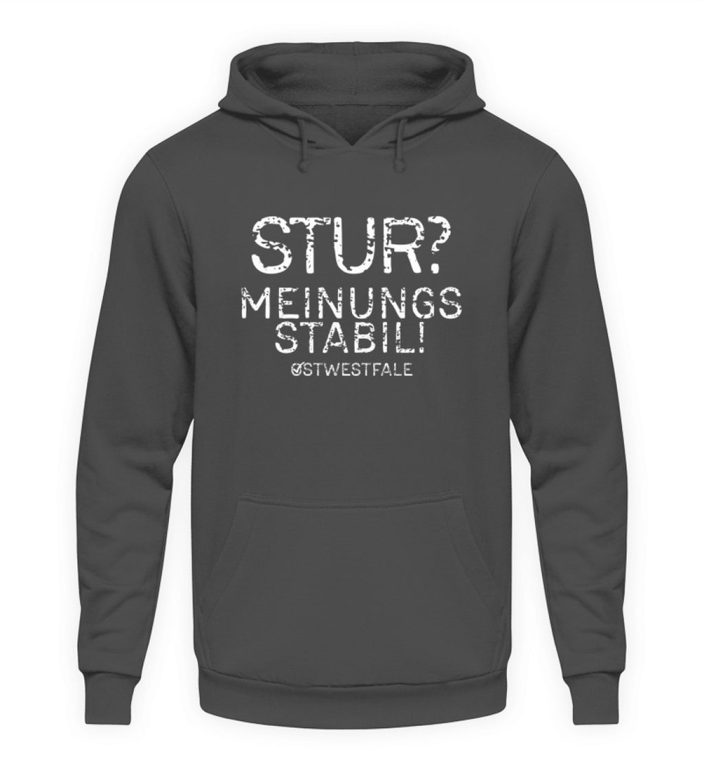 Steel Grey (Solid)-1762