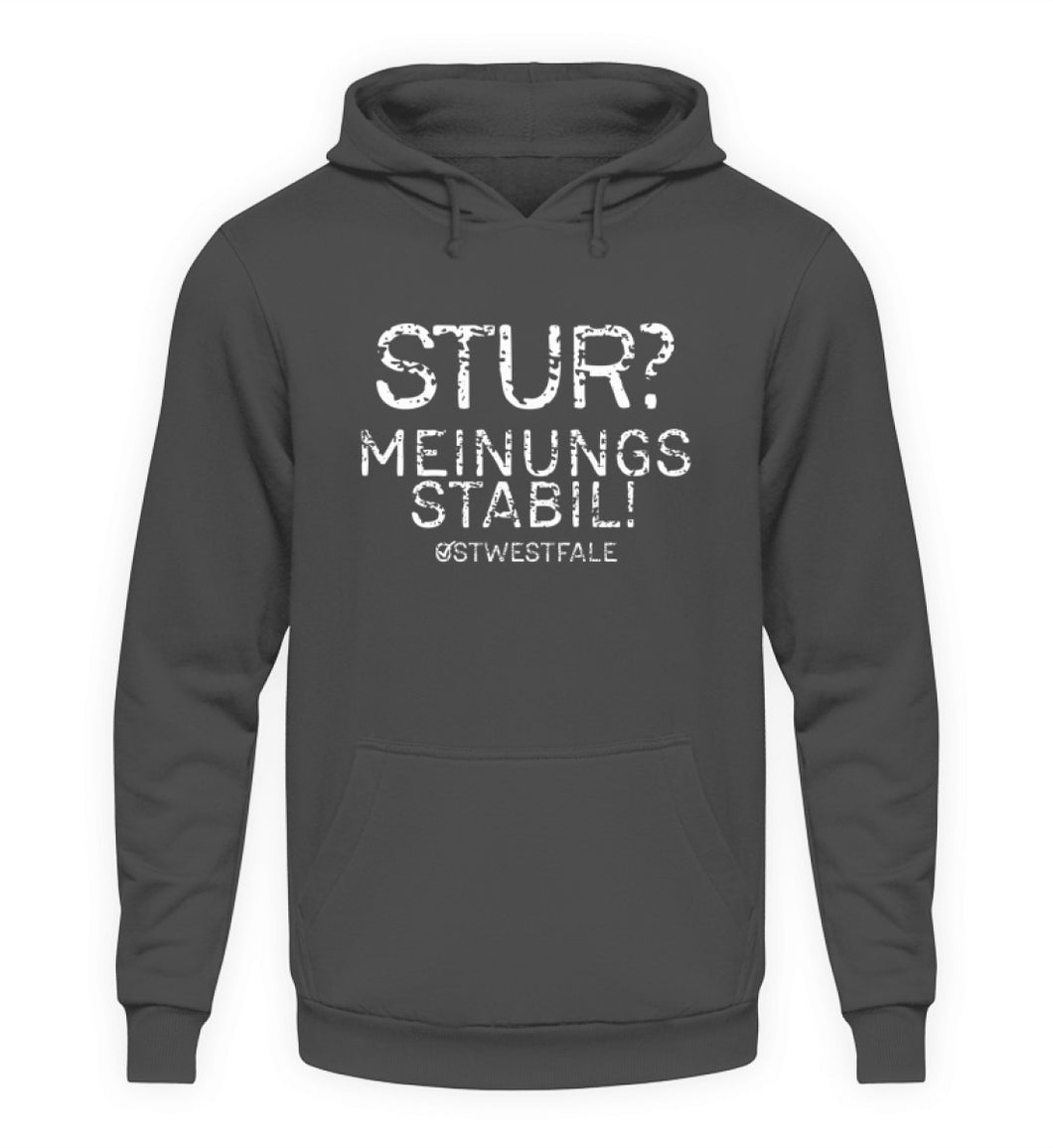 Steel Grey (Solid)-1762